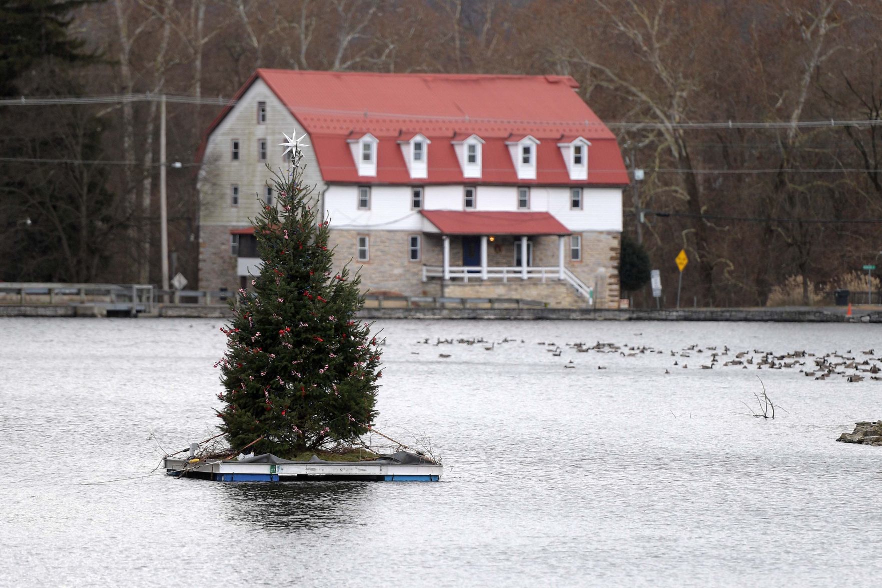 Boiling Springs Christmas Tree